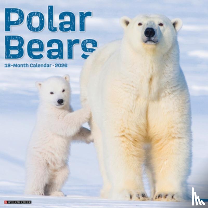 Willow Creek Press - Polar Bears 2026 Wall Calendar