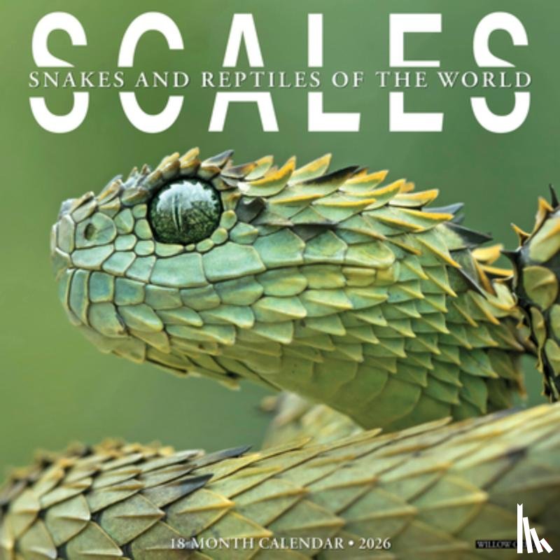 Willow Creek Press - Scales 12 X 12 Wall Calendar