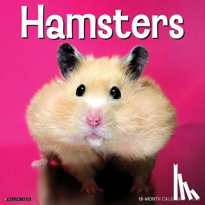 Willow Creek Press - Hamsters 2026 Wall Calendar