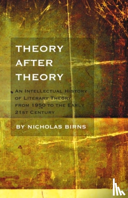 Birns, Nicholas - Theory After Theory