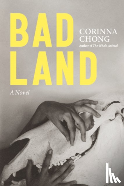 Chong, Corinna - Bad Land