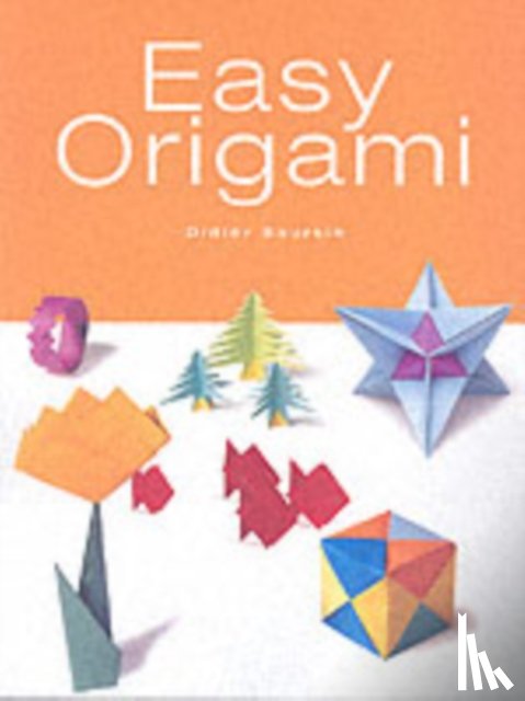 Boursin, Didier - Easy Origami