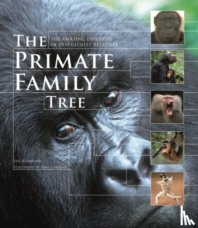 Redmond, Ian - The Primate Family Tree