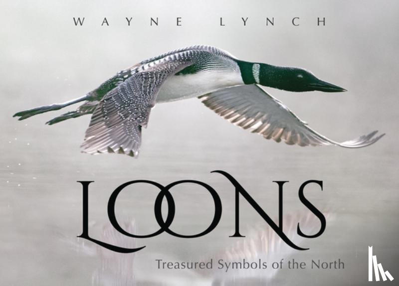 Lynch, Wayne - Loons: Treasured Symbols of the North