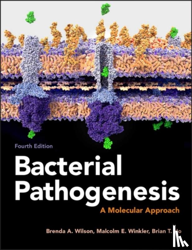 Wilson, Brenda A. (University of Illinois at Urbana-Champaign, Winkler, Malcolm (Indiana University, Ho, Brian T. (University of London - Bacterial Pathogenesis