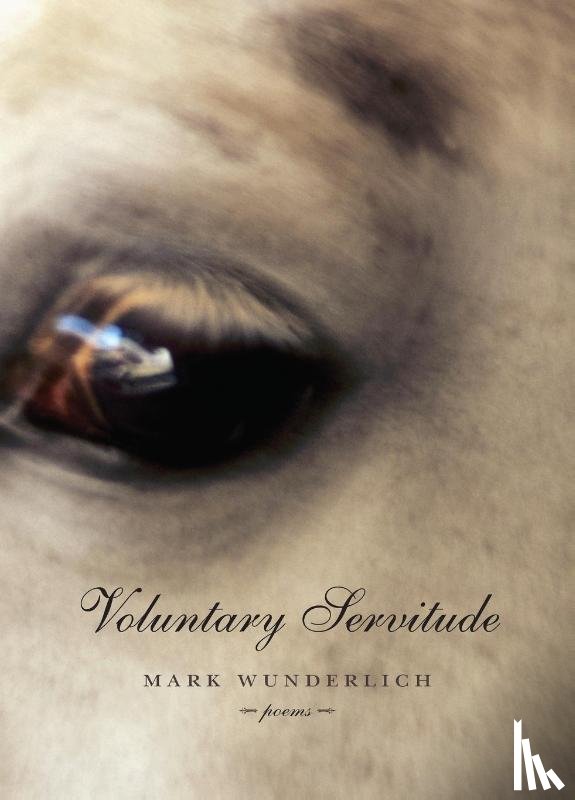 Wunderlich, Mark - Voluntary Servitude