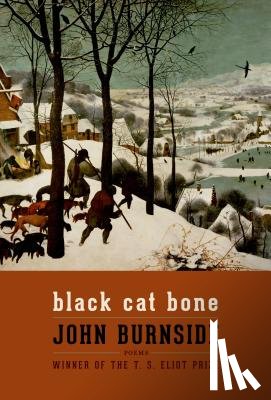 Burnside, John - Black Cat Bone