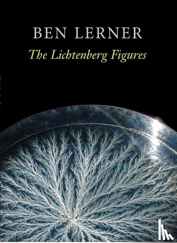 Lerner, Ben - The Lichtenberg Figures