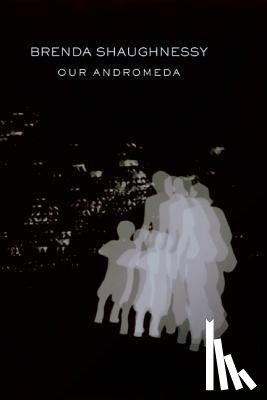 Shaughnessy, Brenda - Our Andromeda