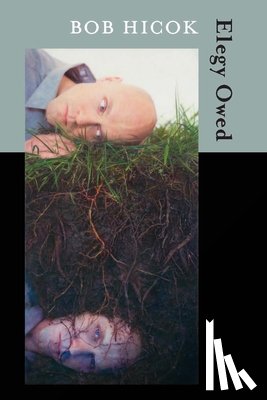 Hicok, Bob - Elegy Owed