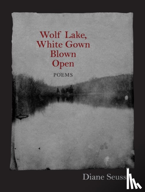 Seuss, Diane - Wolf Lake, White Gown Blown Open