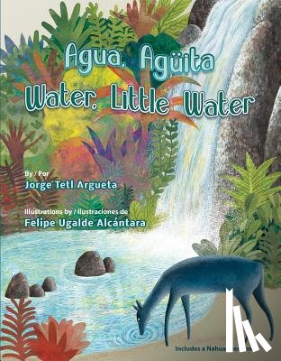 Argueta, Jorge - Agua, Aguita / Water, Little Water