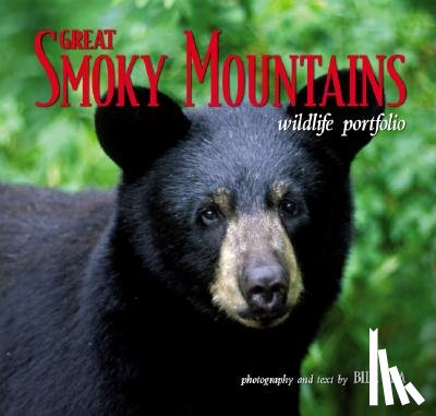Lea - Great Smoky Mountains Wildlife Portfolio