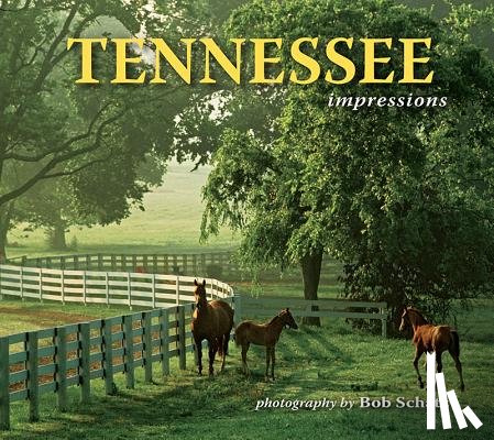 Schatz, Bob - Tennessee Impressions
