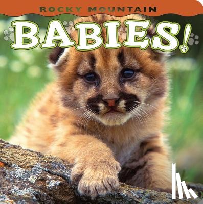 Shattil, Wendy - Rocky Mountain Babies!