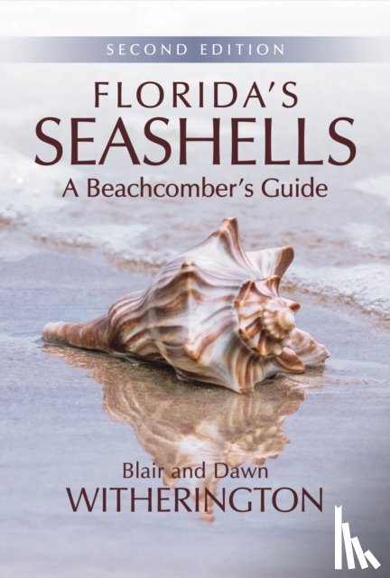 Witherington, Blair - Florida's Seashells