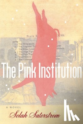 Saterstrom, Selah - The Pink Institution