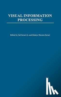 Murata-Soraci, Kimiyo - Visual Information Processing