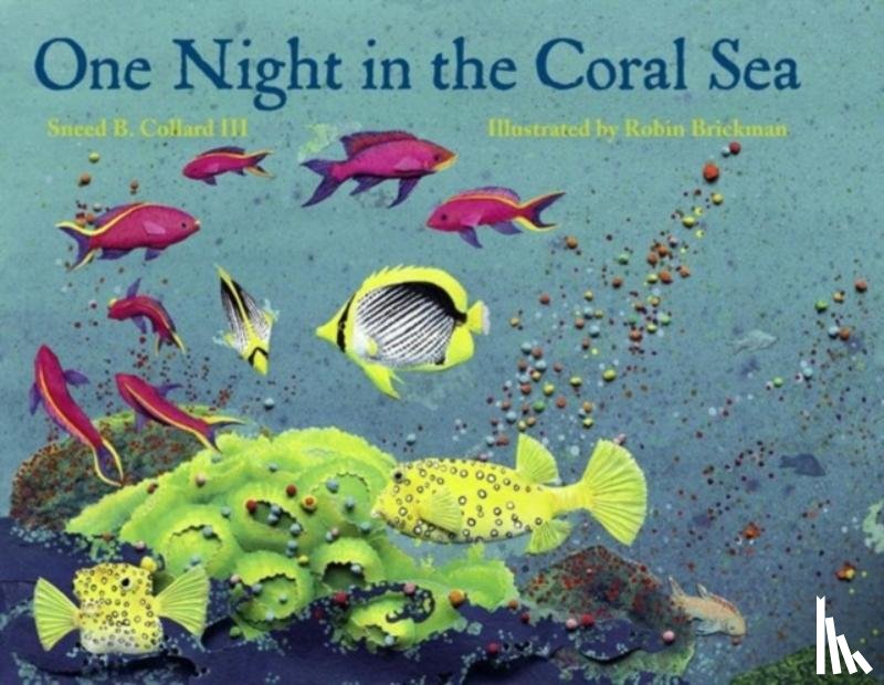 Collard, Sneed B. - One Night in the Coral Sea