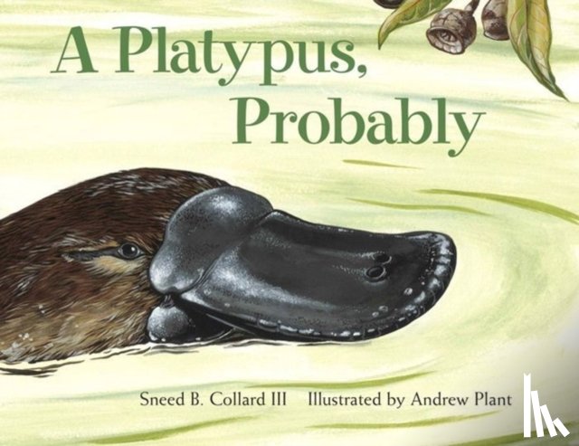 Collard, Sneed B. - A Platypus, Probably