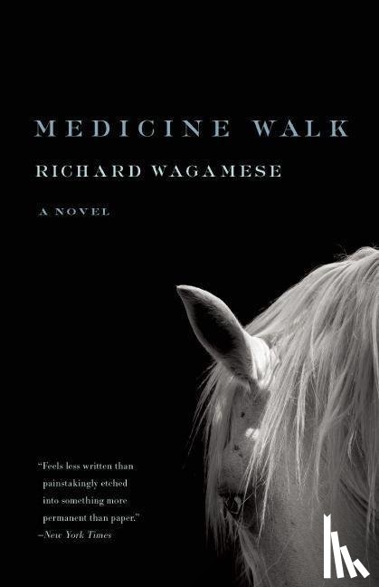 Wagamese, Richard - Wagamese, R: Medicine Walk