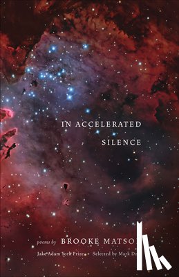 Matson, Brooke - In Accelerated Silence