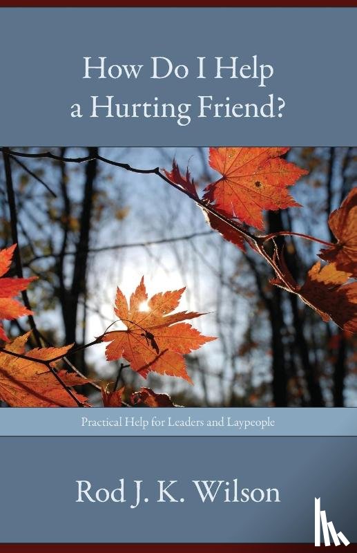 Wilson, Rod J. K. - How Do I Help a Hurting Friend?