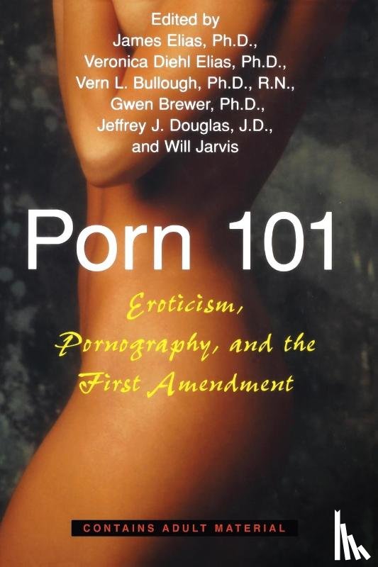  - Porn 101