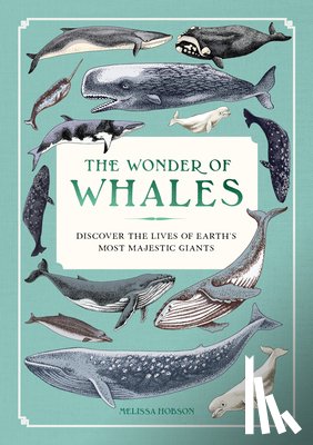 Hobson, Melissa - The Wonder of Whales