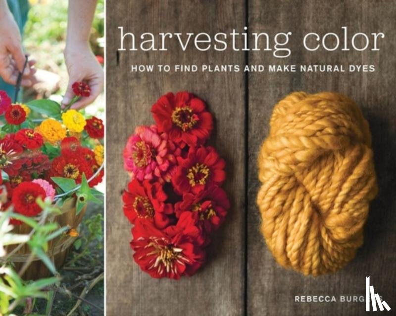 Burgess, Rebecca - Harvesting Color