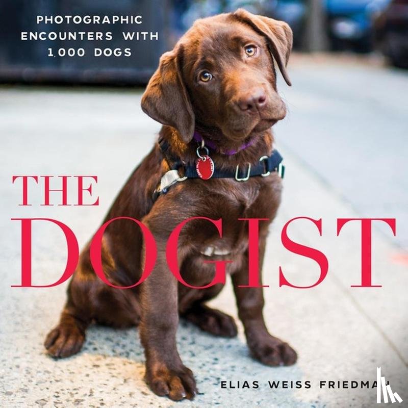 Weiss Friedman, Elias - The Dogist