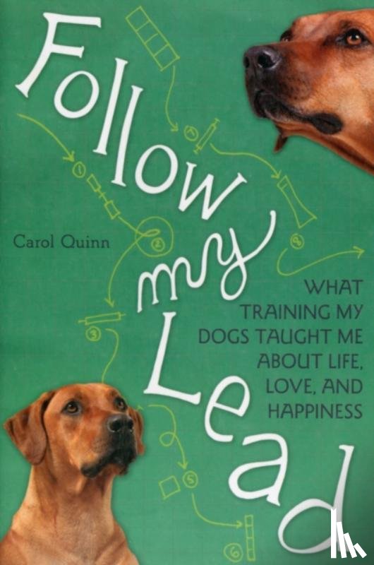 Quinn, Carol - Follow My Lead