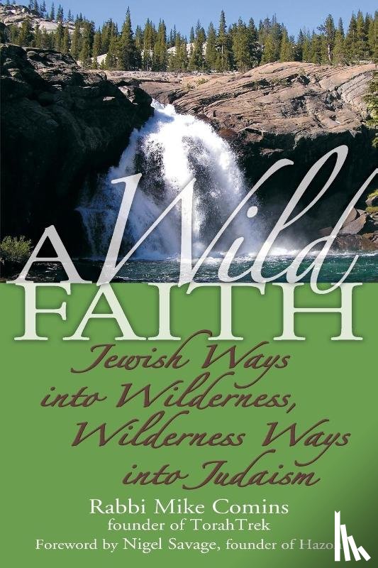 Comins, Mike (Mike Comins) - Wild Faith