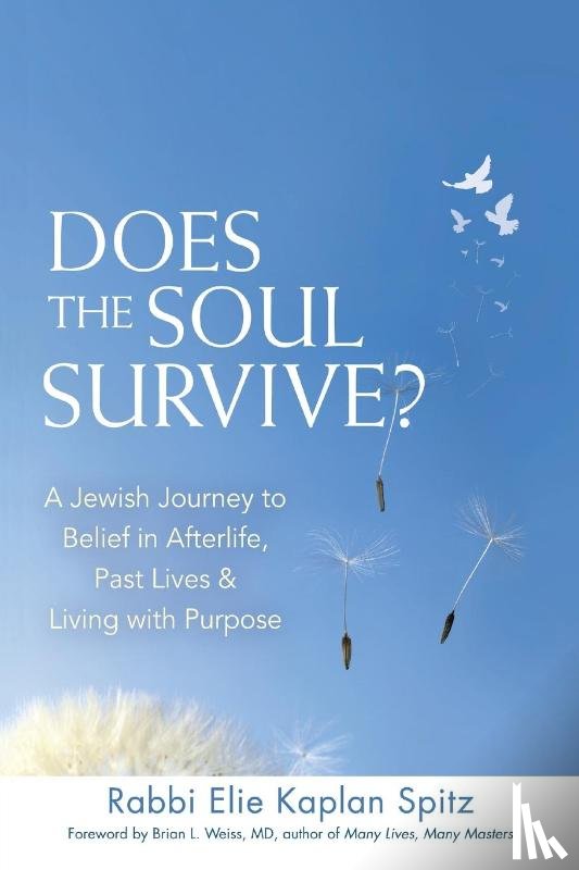 Kaplan Spitz, Elie (Rabbi Elie Kaplan Spitz) - Does the Soul Survive?
