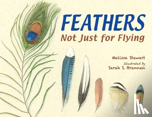 Stewart, Melissa - Feathers