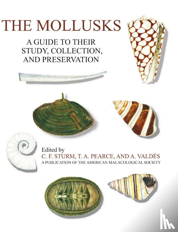 Sturm, C F, Pearce, T a, Valdes, A - The Mollusks
