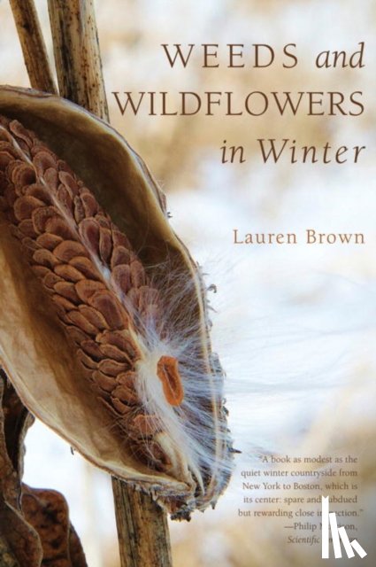 Brown, Lauren - Weeds and Wildflowers in Winter