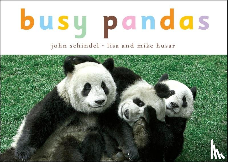 Schindel, John - Busy Pandas