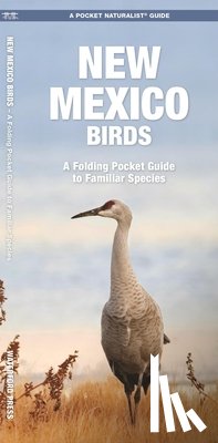 Kavanagh, James - New Mexico Birds