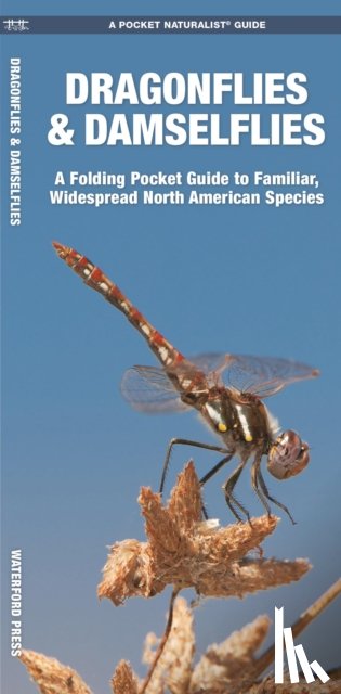 Kavanagh, James, Press, Waterford - Dragonflies & Damselflies