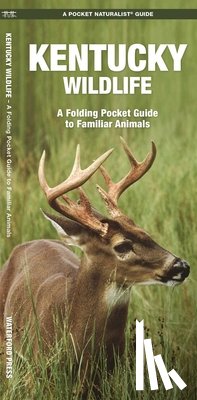 Kavanagh, James - Kentucky Wildlife