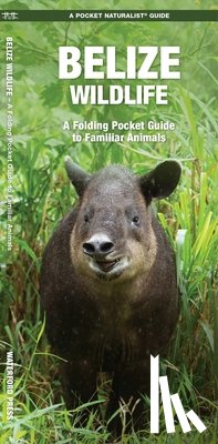 Kavanagh, James - Belize Wildlife: A Folding Pocket Guide to Familiar Animals