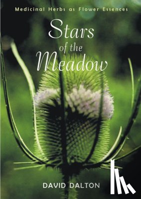 Dalton, David - Stars of the Meadow