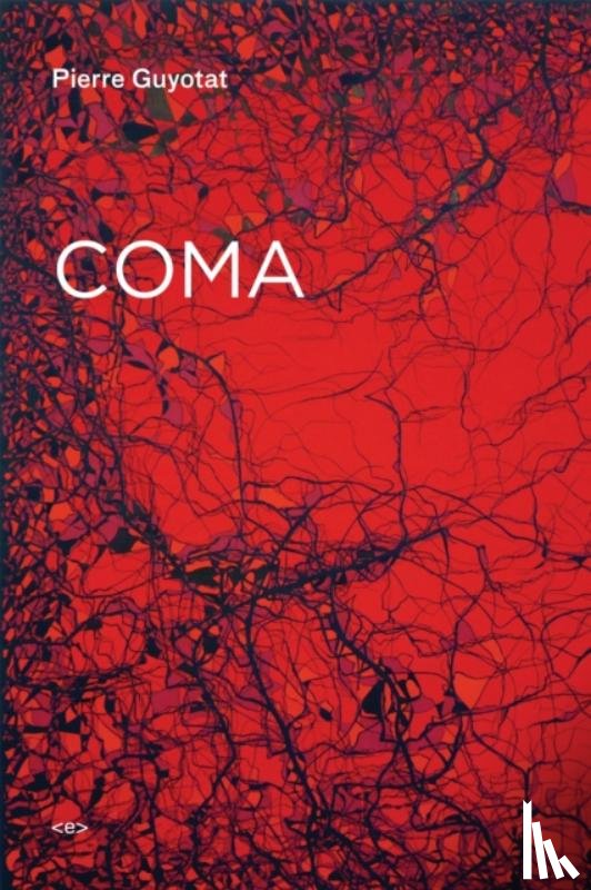 Guyotat, Pierre - Coma