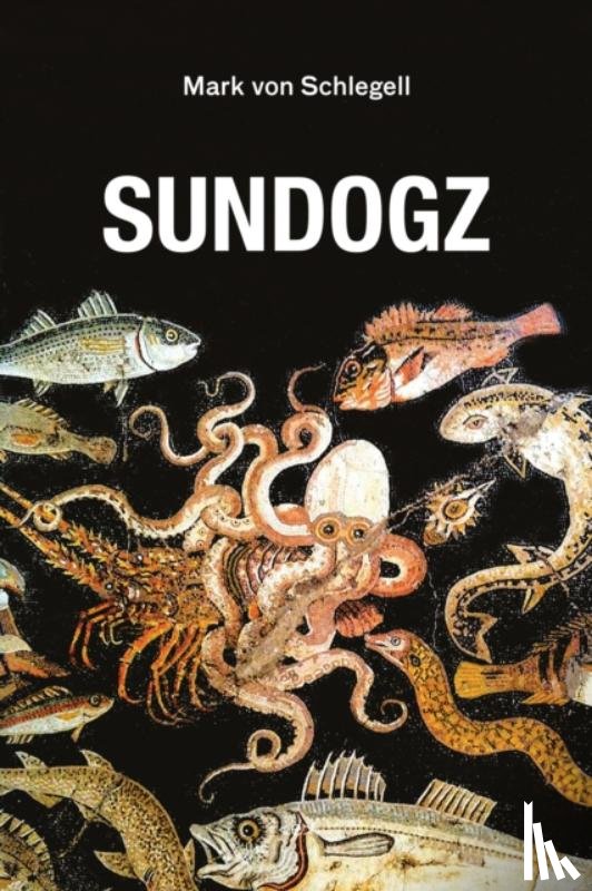von Schlegell, Mark - Sundogz
