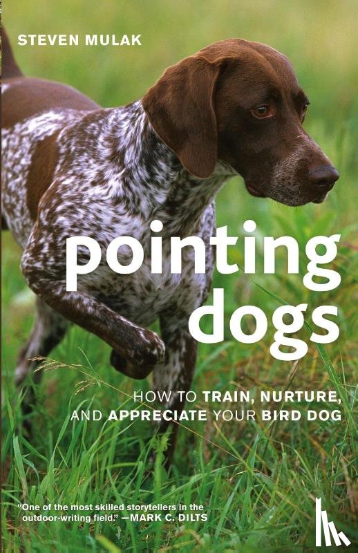 Mulak, Steven - Pointing Dogs