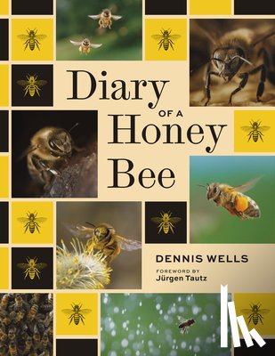 Wells, Dennis - Diary of a Honey Bee