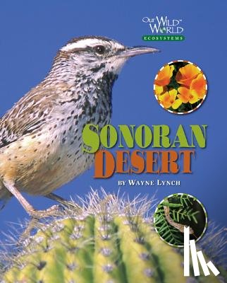 Lynch, Wayne - The Sonoran Desert