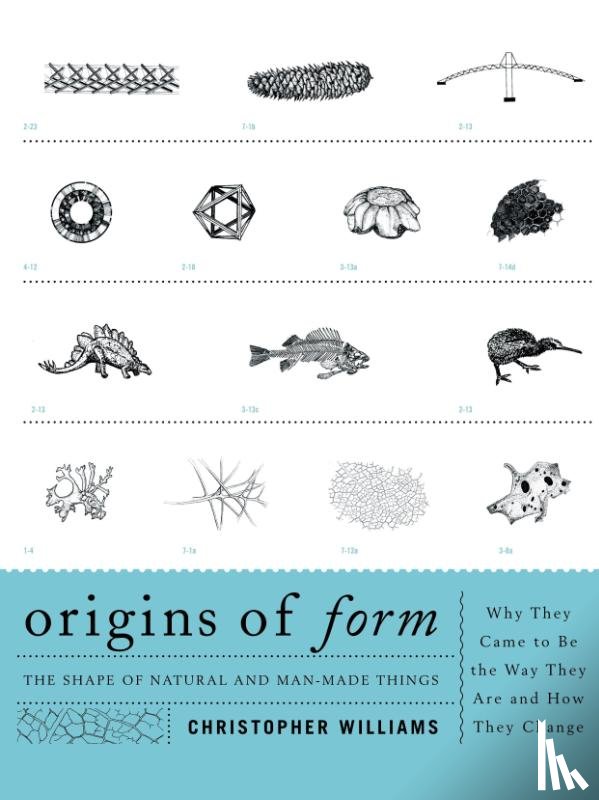 Williams, Christopher - Origins of Form