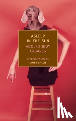 Bioy Casares, Adolfo - ASLEEP IN THE SUN